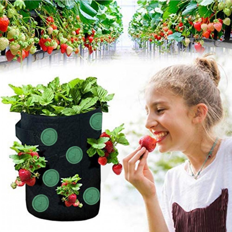 Grow Bag Nonwoven Fabric Vertical Hanging Plant Bag