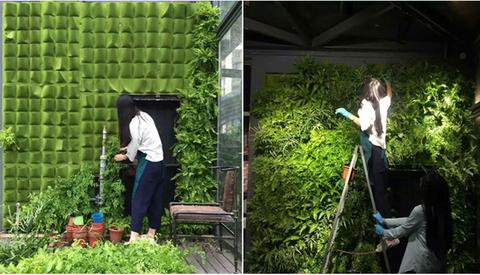 Wall Mount Hanging Planting Bags Grow Bag Planter Vertical Growing